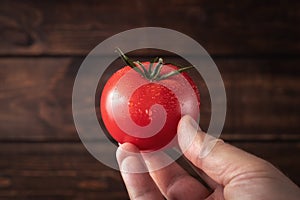 Hand of a farmer holding a red and fresh tomato. raw wet vegetable with water droplets. template for advertising with copy space