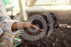 Hand of farmer holding soil with worms. Closeup of a farmer holding soil. Farmer standing in a greenhouse holding dirt