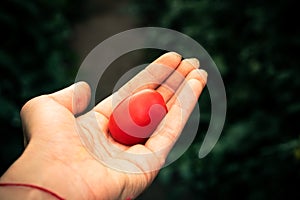 The hand of a farmer with Italian red tomatoes on the blurred green bokeh background.