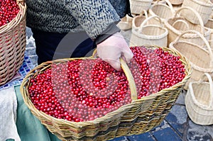 Hand farmer wick basket mossberry market ecologic