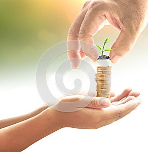 Hand of father give one coin with small plant into stacks of golden coins in hands of son