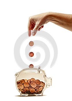 Hand dropping pennies into piggy bank photo