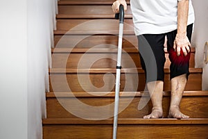 Hand of female elderly holding her pain knee with hand and walking stick for support when walking,old age has an injury,painful in