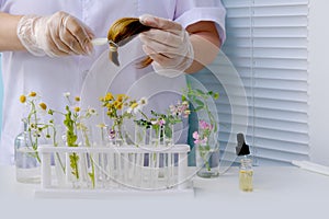 Hand of female laboratory assistant, scientist trichologist processes hair sample, curls with plant extracts, concept science,