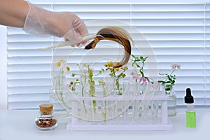 Hand of female laboratory assistant, scientist trichologist processes hair sample, curls with plant extracts, concept science,