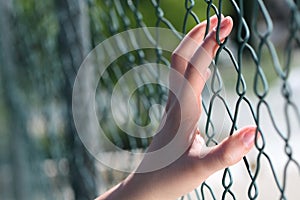 Hand on fence