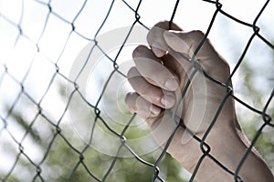 Hand on fence