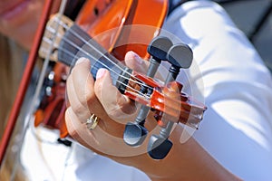 Hand on the fingerboard of violin