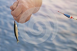 Hand of Fisherman is holding just caught fish