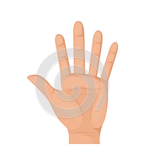 Hand with five fingers cartoon vector. ÃÂ¡ounting man hand open palm showing number five