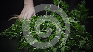 Hand flaps a bunch of fresh green parsley on black background. Slow motion.