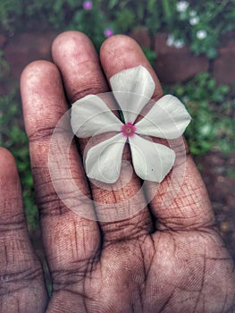 hand flower