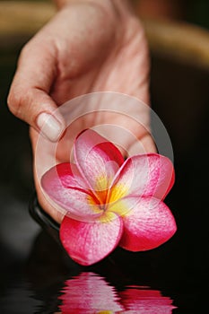 Hand and Flower