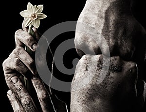 Hand with flower and clenched fist