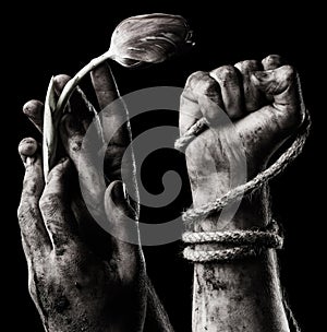 Hand with flower and hand with rope