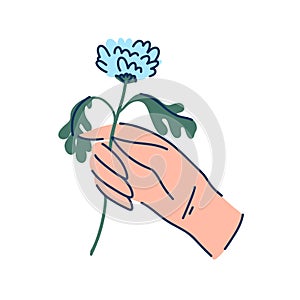 hand with a flower, hand with a white carnation, symbol of peace, gift to a loved one