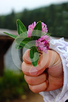 Hand and flowers
