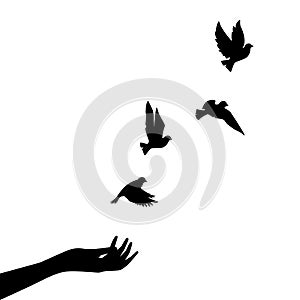 Hand and flying birds silhouettes isolated on white background, vector. Freedom concept. Flying dove birds, peace concept