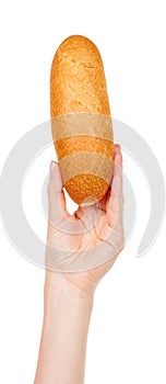 Hand with fresh bun isolated on white background