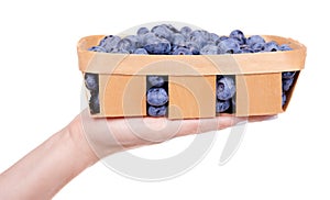 Hand with fresh raw blueberry in wooden basket, isolated on white background