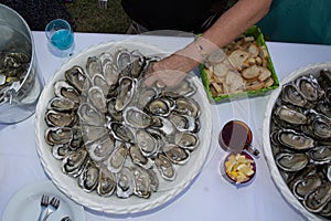 Hand on Fresh Shucked Oysters with Served as Appetizer
