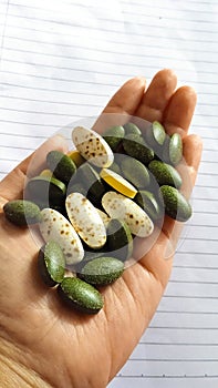 A hand with full of assorted medicines