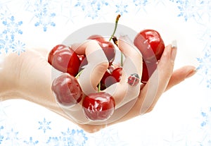 Hand full of red cherries