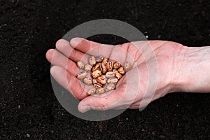 Hand full of seeds
