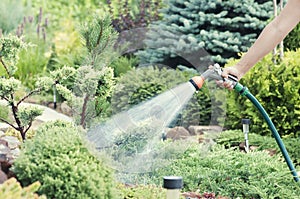 Hand garden hose with water spray, watering flowers, close-up, water splashes, landscape design, alpine slide