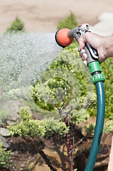 Hand garden hose with water spray, watering flowers, close-up, water splashes, landscape design, alpine slide