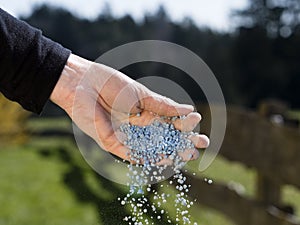Hand of a gardener giving fertilizer to garden plants