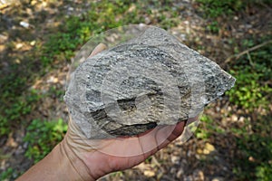 Hand of a geologist holding a raw specimen of gneiss metamorphic rock stone.