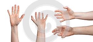 Hand gesture concept. Female showing empty palm, sign, symbol. Businesswoman with white background.