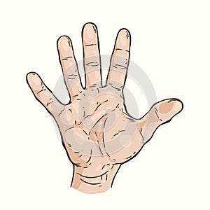 Hand gesture Five fingers