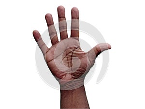 Hand gesture - open