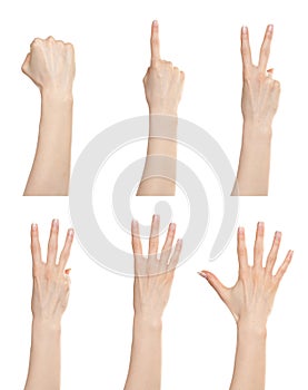 Hand gesture set counting numbers