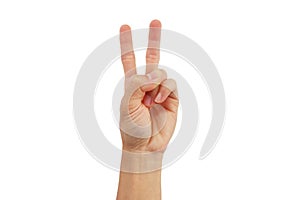 Hand gesture showing Here's the important part on a white background
