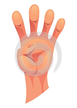 Hand gesture sign fist arm, isolated icon. Finger counting. Sign language. Realistic human hand, sign. Vector graphic