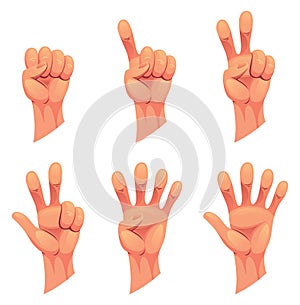 Hand gesture sign fist arm, isolated icon set. Finger counting. Sign language. Set of realistic human hands, signs