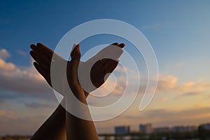 Hand gesture silhouette like bird flying on vintage sky