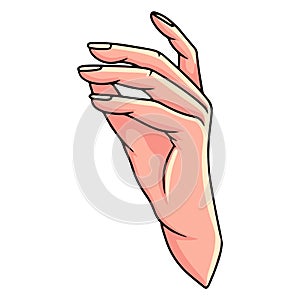 Hand gesture. Woman's hand. Hand gestures. Cartoon style.