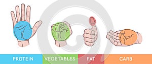 Hand gestures set isolated. Palm, fist, thumb up, cupped hand. Portions of food. Infographic. Modern beautiful style. Realistic. photo