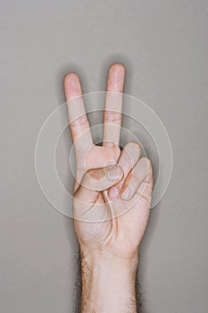 Hand Gesturing Peace Sign