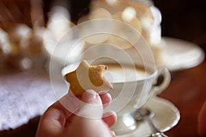 Hand with a gingerbread cookie