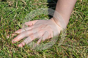 Hand on the girl on the grass