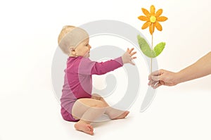 Hand gives flower to baby