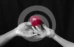 Hand gives red apple to other hand. Diversity or religious concept