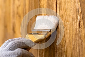 Hand in glove holding brush is applying lacquer or protective varnish on wooden wall. Protect the wood from moisture