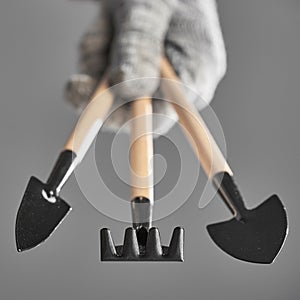 Hand in a glove holding gardening tools isolated on gray background. The background in blur.