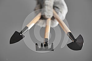 Hand in a glove holding gardening tools isolated on gray background. The background in blur